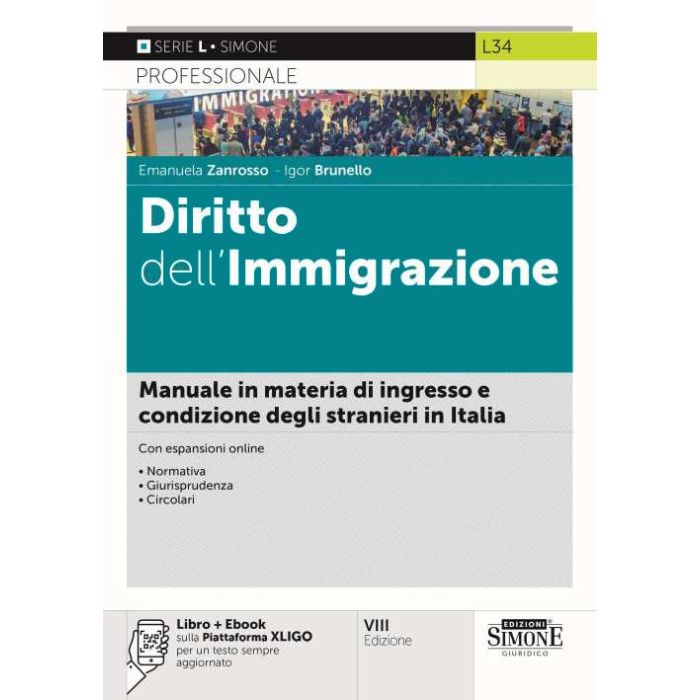 Diritto dell'immigrazione ingresso e condizione degli stranieri in italia 2024 edizioni simone