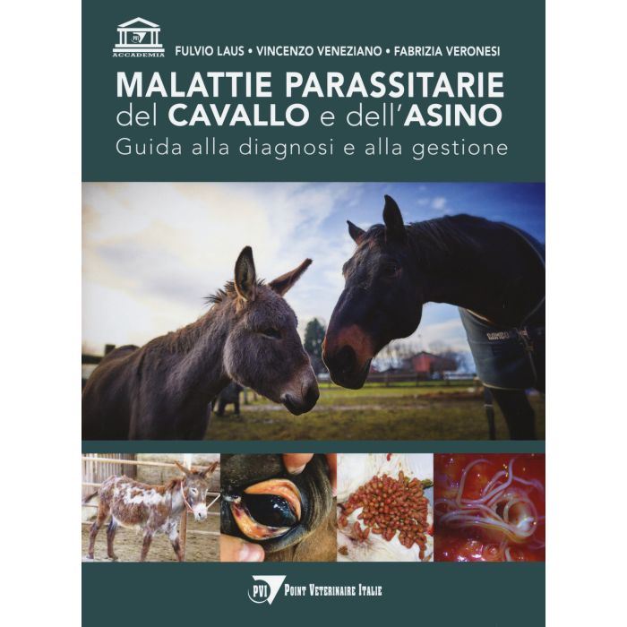 Malattie parassitarie del cavallo e dell'asino guida alla diagnosi e alla gestione fulvio laus vincenzo veneziano point veterinaire Malattie parassitarie del cavallo e dell'asino guida alla diagnosi e alla gestione fulvio laus vincenzo veneziano point veterinaire