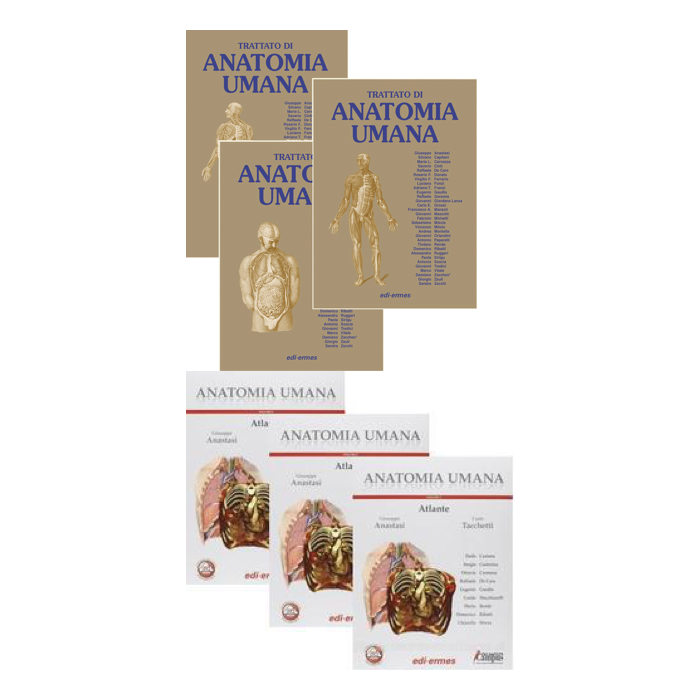 Trattato di Anatomia Umana 4/ed. Voll. 1/3 + Atlante Anatomia Umana voll.1/3 + Cofanetto  [Anastasi - Edi Ermes]