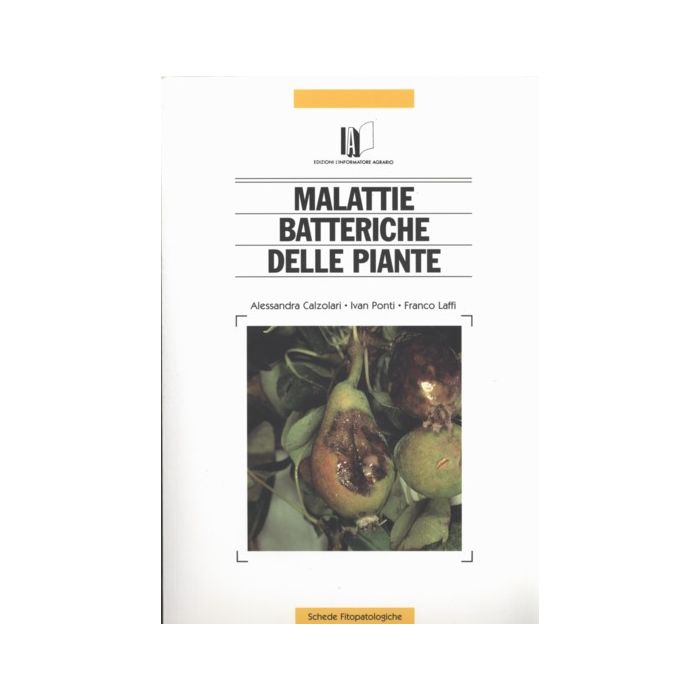 MALATTIE BATTERICHE DELLE PIANTE ALESSANDRA CALZOLARI IVAN PONTI INFORMATORE AGRARIO MALATTIE BATTERICHE DELLE PIANTE ALESSANDRA CALZOLARI IVAN PONTI INFORMATORE AGRARIO