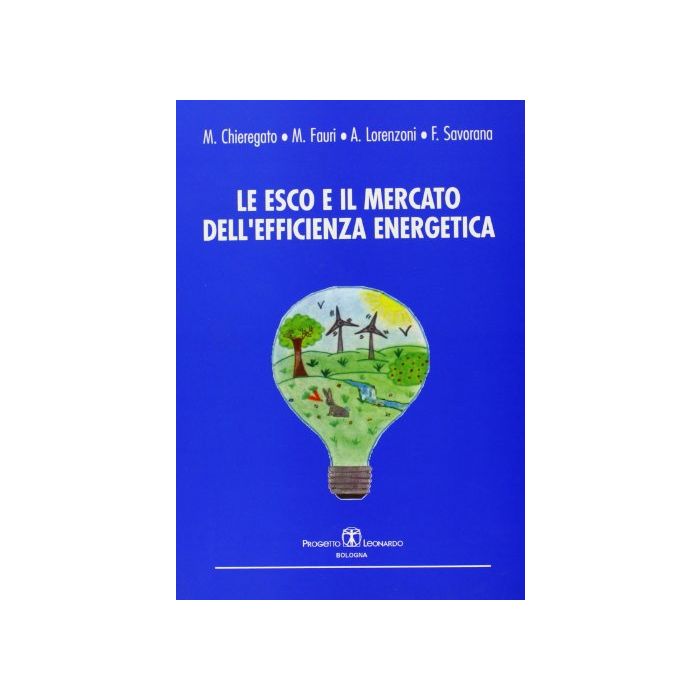 Le ESCO E Il Mercato Dell'efficienza Energetica 
