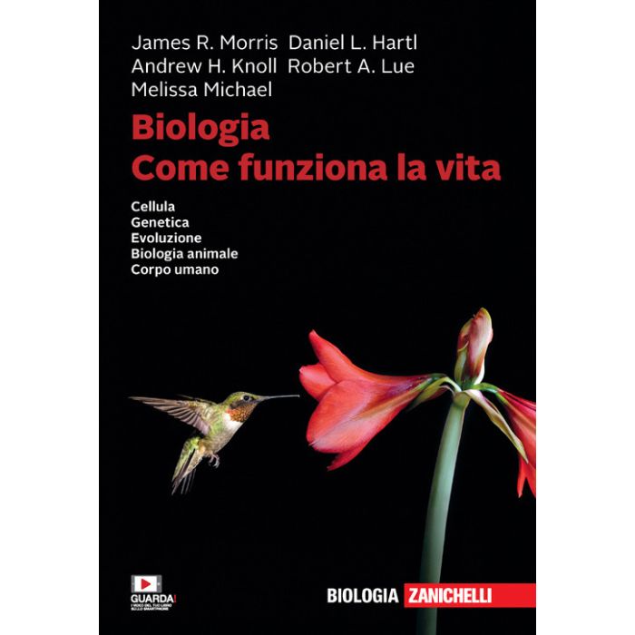 Morris Hartl biologia come funziona la vita cellula genetica evoluzione biologia animale corpo umano zanichelli Morris Hartl biologia come funziona la vita cellula genetica evoluzione biologia animale corpo umano zanichelli