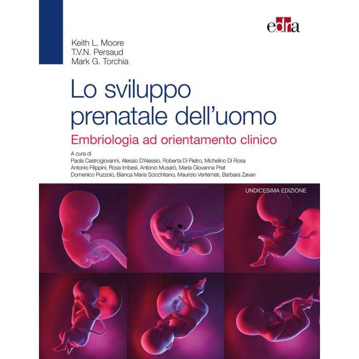 Lo sviluppo prenatale dell'uomo Embriologia ad orientamento clinico Moore perasud Edra Lo sviluppo prenatale dell'uomo Embriologia ad orientamento clinico Moore perasud Edra