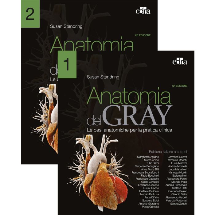 Anatomia del gray le basi anatomiche per la pratica clinica nuova edizione edra