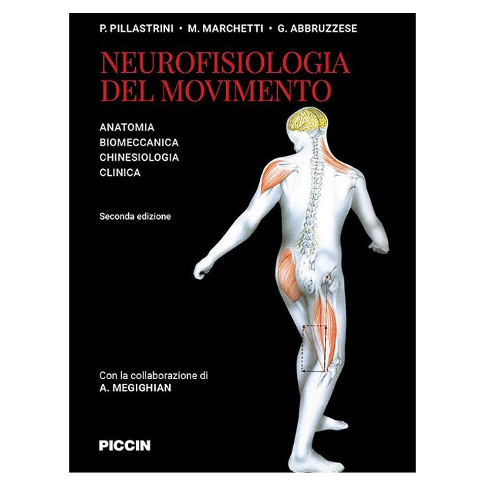 Neurofisiologia del movimento Pillastrini Marchetti Piccin editore