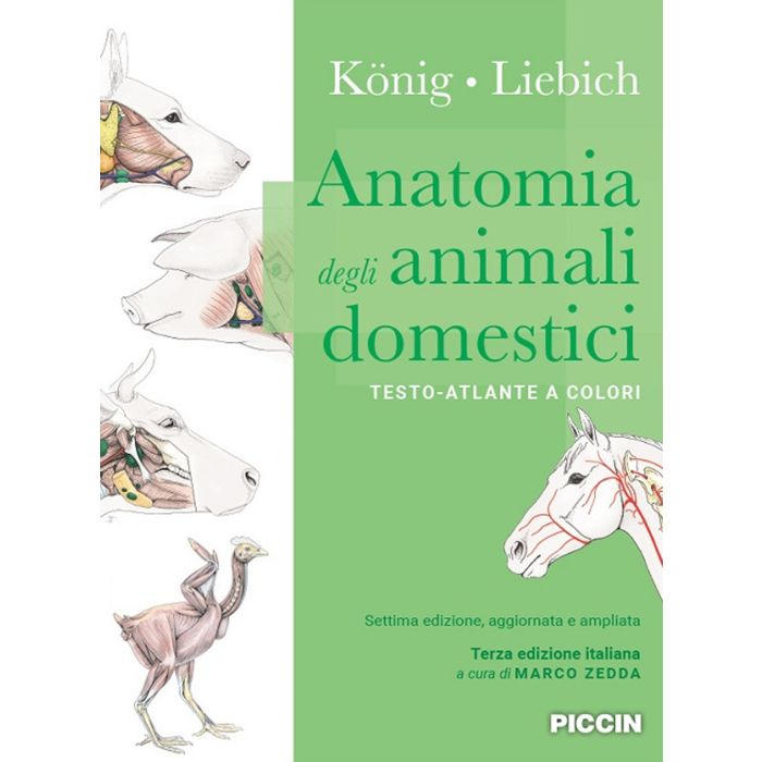 Konig Liebich Anatomia degli animali domestici testo atlante piccin editore 2021