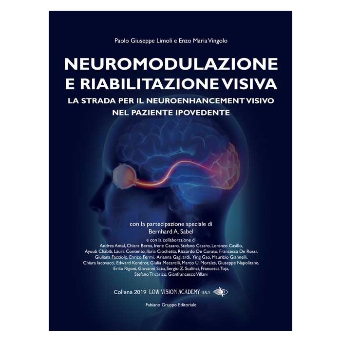Neuromodulazione e riabilitazione visiva nel paziente ipovedente libro limoli paolo giuseppe vingolo enzo maria fabiano editore Neuromodulazione e riabilitazione visiva nel paziente ipovedente libro limoli paolo giuseppe vingolo enzo maria fabiano editore