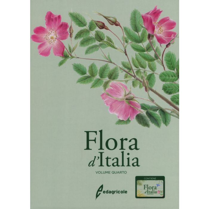 Flora D'Italia Volume 4 Sandro Pignatti Edagricole Flora D'Italia Volume 4 Sandro Pignatti Edagricole