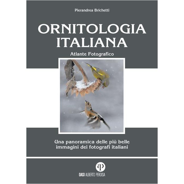 Ornitologia italiana atlante fotografico brichetti pierandrea alberto perdisa editore Ornitologia italiana atlante fotografico brichetti pierandrea alberto perdisa editore