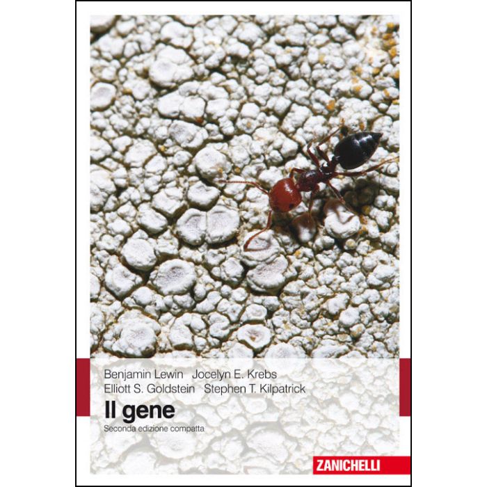 IL GENE  (Edizione compatta) 2/ed.  [Lewin - Zanichelli]