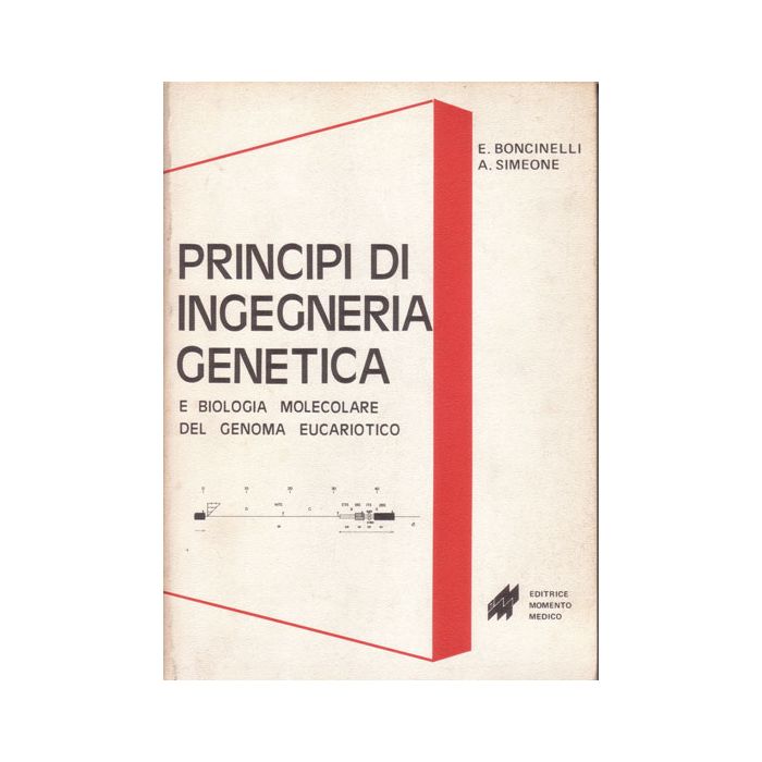 Principi di Ingegneria Genetica e Biologia Molecolare del Genoma Eucariotico Boncinelli E.; Simeone A. Momento Medico Principi di Ingegneria Genetica e Biologia Molecolare del Genoma Eucariotico Boncinelli E.; Simeone A. Momento Medico