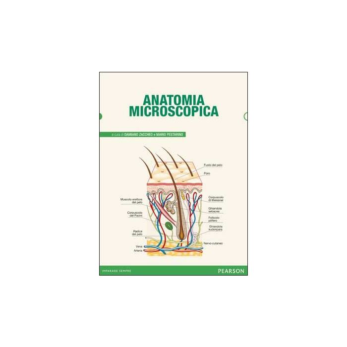 Anatomia microscopica