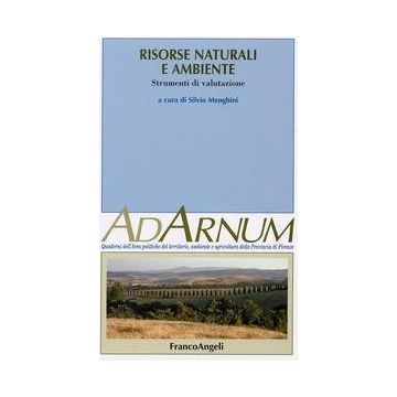 Risorse Naturali E Ambiente. Strumenti Di Valutazione - Menghini - Franco Angeli - 9788846465689