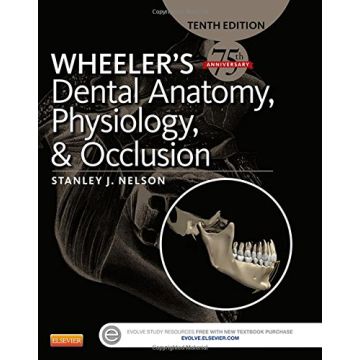 Wheeler's Dental Anatomy, Physiology and Occlusion, 10th Edition    [Nelson - Elsevier Science]
