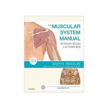 The Muscular System Manual, 4th Edition - The Skeletal Muscles of the Human Body    [Muscolino - Elsevier Science]