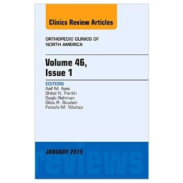 Volume 46, Issue 1, An Issue of Orthopedic Clinics   [Ilyas - Elsevier Science]