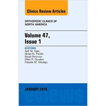 Volume 47, Issue 1, An Issue of Orthopedic Clinics, 1st Edition    [Ilyas - Elsevier Science]