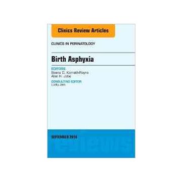 Birth Asphyxia, An Issue of Clinics in Perinatology, Volume 43-3   [Kamath-Rayne - Elsevier Science]