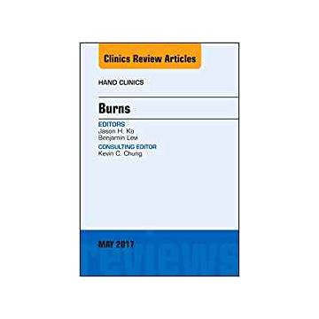 Burns, An Issue of Hand Clinics, Volume 33-2    [Ko - Elsevier Science]