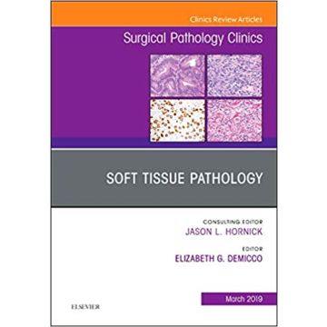 Soft Tissue Pathology, An Issue of Surgical Pathology Clinics, Volume 12-1