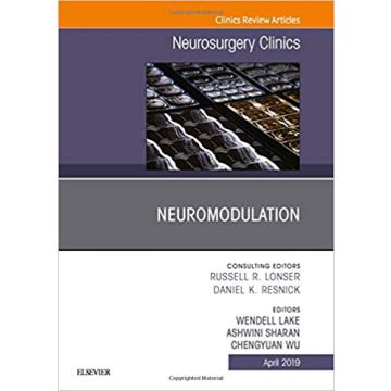 Neuromodulation, An Issue of Neurosurgery Clinics of North America, Volume 30-2
