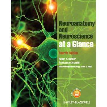Neuroanatomy and Neuroscience at a Glance, 4ed.  Barker Roger A.; Cicchetti Francesca  Wiley - Blackwell  9780470657683