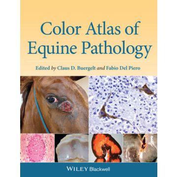 Color Atlas of Equine Pathology  Buergelt Claus D.; Del Piero Fabio  Wiley - Blackwell  9780470962848