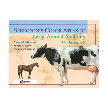 Spurgeon's Color Atlas of Large Animal Anatomy: The Essentials  McCracken Thomas O.; Kainer Robert A.; Spurgeon Thomas L.  Wiley-Blackwell  9780683306736