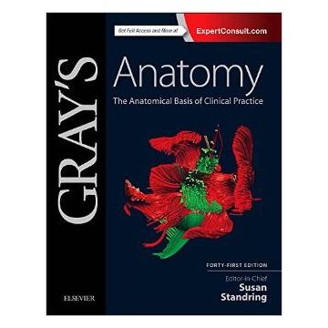 Gray's Anatomy, 41st Edition - The Anatomical Basis of Clinical Practice   [Standring - Elsevier Science]