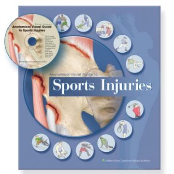 Anatomical Visual Guide to Sports Injuries  Anatomical Chart Company  LIPPINCOTT Williams and Wilkins  9780781773614