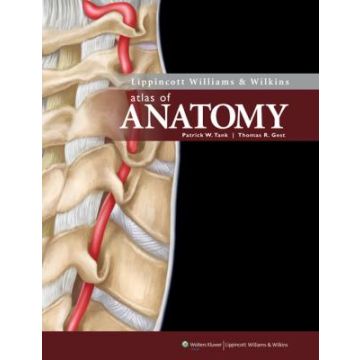 Lippincott Williams & Wilkins Atlas of Anatomy  Tank Patrick W.; Gest Thomas R.  LIPPINCOTT Williams and Wilkins  9780781785051