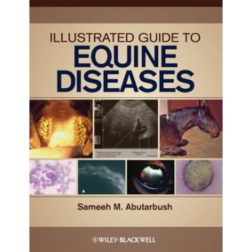 Illustrated Guide to Equine Diseases  Abutarbush Sameeh M.  Wiley - Blackwell  9780813810713