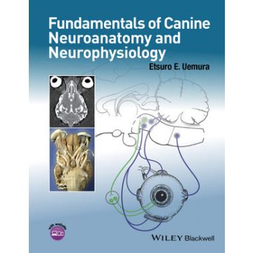 Fundamentals of Canine Neuroanatomy and Neurophysiology  Uemura Etsuro  Wiley-Blackwell  9781118771761