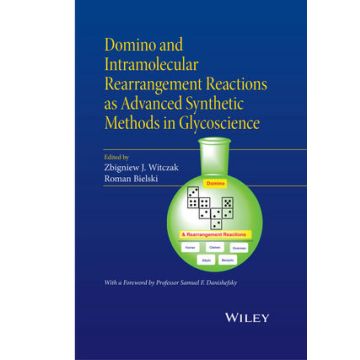 Domino and Intramolecular Rearrangement Reactions as Advanced Synthetic Methods in Glycoscience  Witczak Zbigniew J.; Bielski Roman  Wiley - Blackwell  9781119044208