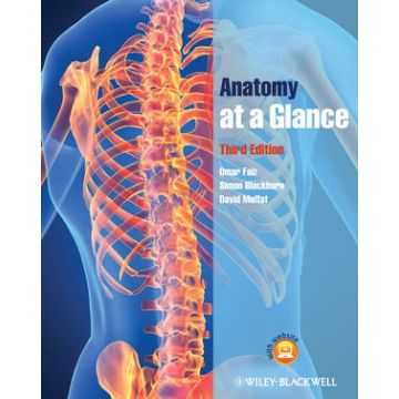 Anatomy at a Glance, 3ed.  Faiz Omar; Blackburn Simon; Moffat David  Wiley - Blackwell  9781444336092