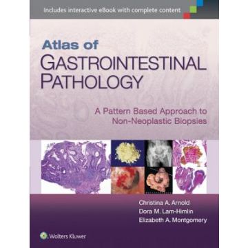 Atlas of Gastrointestinal Pathology: A Pattern Based Approach to Non-Neoplastic Biopsies - Arnold Christina; Lam-Himlin Dora; Montgomery Elizabeth A. - LIPPINCOTT Williams and Wilkins - 9781451188103