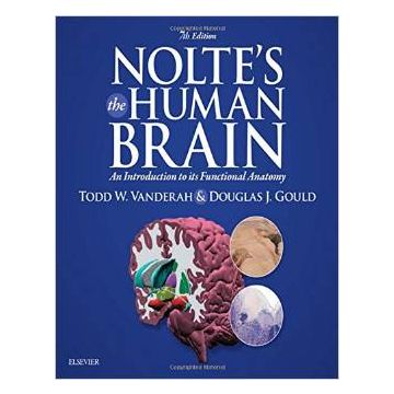 Nolte's The Human Brain, 7th Edition - An Introduction to its Functional Anatomy    [Vanderah - Elsevier Science]