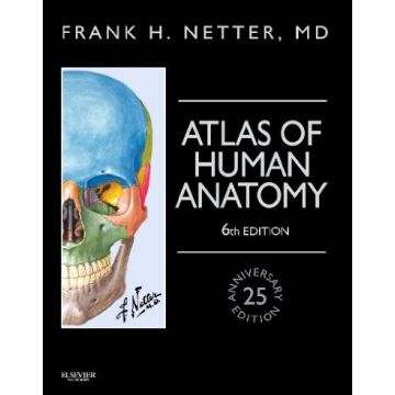 Atlas of Human Anatomy, Professional Edition, 6th Edition -including NetterReference.com Access with Full Downloadable Image Bank