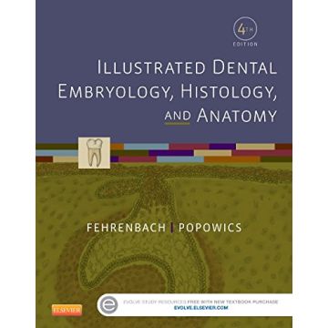 Illustrated Dental Embryology, Histology, and Anatomy, 4th Edition    [Fehrenbach - Elsevier Science]