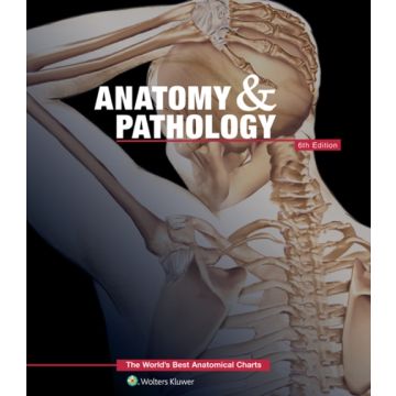 Anatomy & Pathology:The World's Best Anatomical Charts Book, 6ed. - Anatomical Chart Company - LIPPINCOTT Williams and Wilkins - 9781469889900