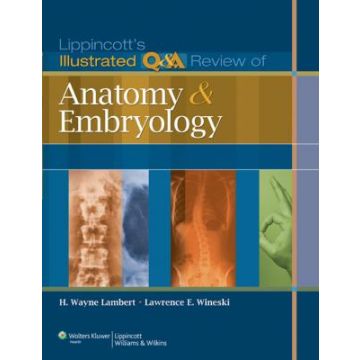 Lippincott's Illustrated Q&A Review of Anatomy and Embryology  Lambert H. Wayne; Wineski Lawrence E.  LIPPINCOTT Williams and Wilkins  9781605473154