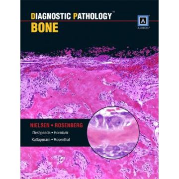 Diagnostic Pathology: Bone  Nielsen G. P.; Rosenberg Andrew E.  LIPPINCOTT Williams and Wilkins  9781931884631