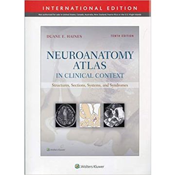 Neuroanatomy Atlas in Clinical Context