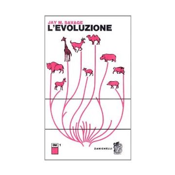 L' Evoluzione 