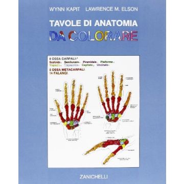 Tavole Di Anatomia Da Colorare. Per Gli Ist. D'arte