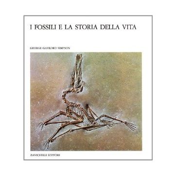 I Fossili E La Storia Della Vita 