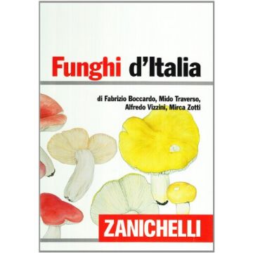 Funghi D'italia
