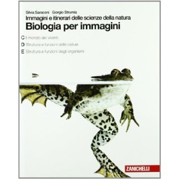 Dizionario Della Pubblicita'. Storia, Tecniche, Personaggi