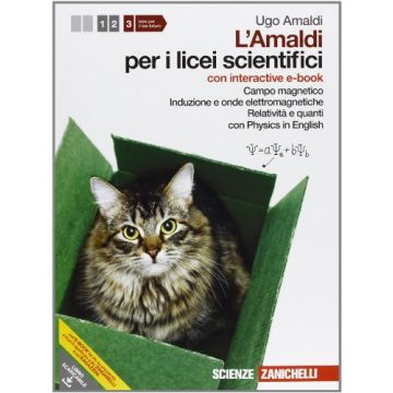 Amaldi Per I Licei Scientifici. Con Interactive E-book. Con Espansione Online Campo Magnetico, Induzione E Onde Elettromagnetiche. Realtivita' E Quanti