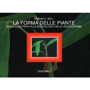 Bell Adrian D. - La forma delle piante. Guida illustrata alla morfologia delle angiosperme - Zanichelli